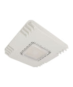 JEE LED Canopy Light