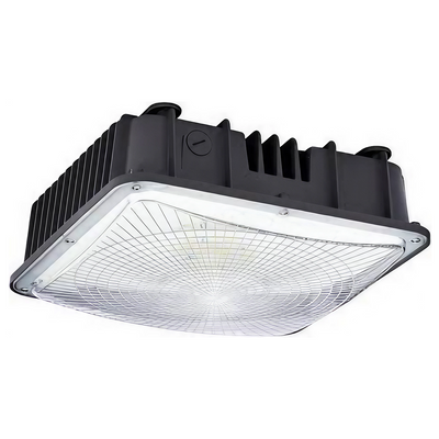 LED Canopy Light